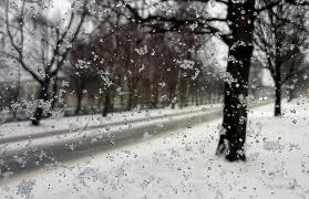 Liepaja_snieg